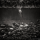 Illustration for article titled The best National Geographic readers' photos of 2014